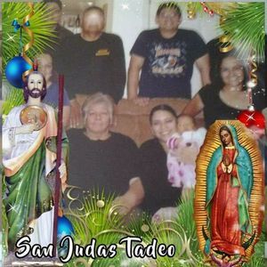 Meet your Posher, Luz